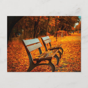 Carte Postale Bancs de jardin à l'automne