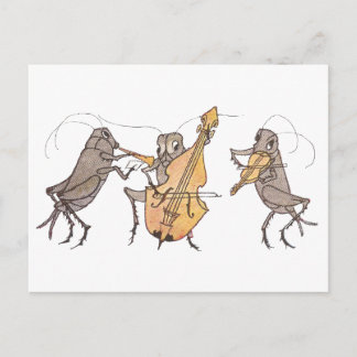 Carte Postale Bande de cricket avec corne, colle et violon