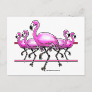 Carte Postale Bande Flamant rose