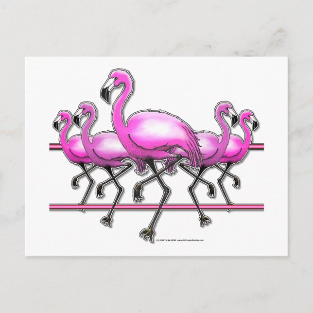 Carte Postale Bande Flamant rose (Devant)