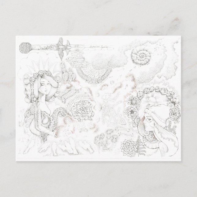 Carte Postale banditas tansy (Devant)