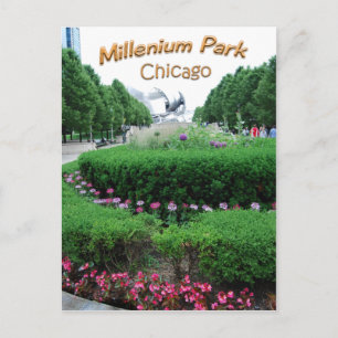 Carte Postale Bandshell Millenium Park