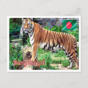 Carte Postale Bangladesh - Le Tigre Royal du Bengale -