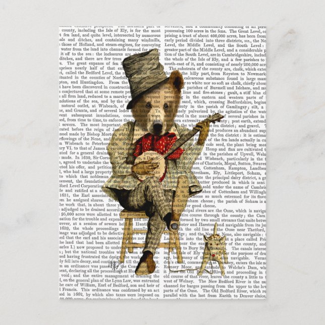 Carte Postale Banjo Bear (Devant)