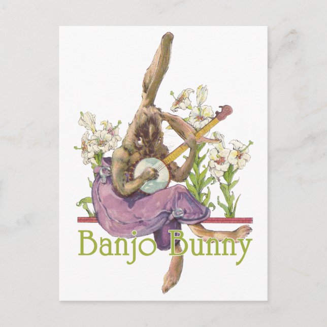 Carte postale Banjo Bunny (Devant)