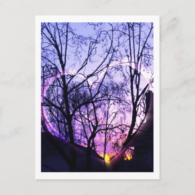 Carte Postale Banlieue en Californie du Sud (Devant)