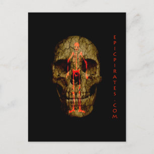 Carte Postale Bannière des Pirates épiques #4