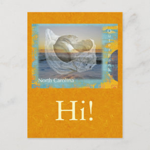 Carte Postale Banques extérieures Coquillage et Surf en Caroline