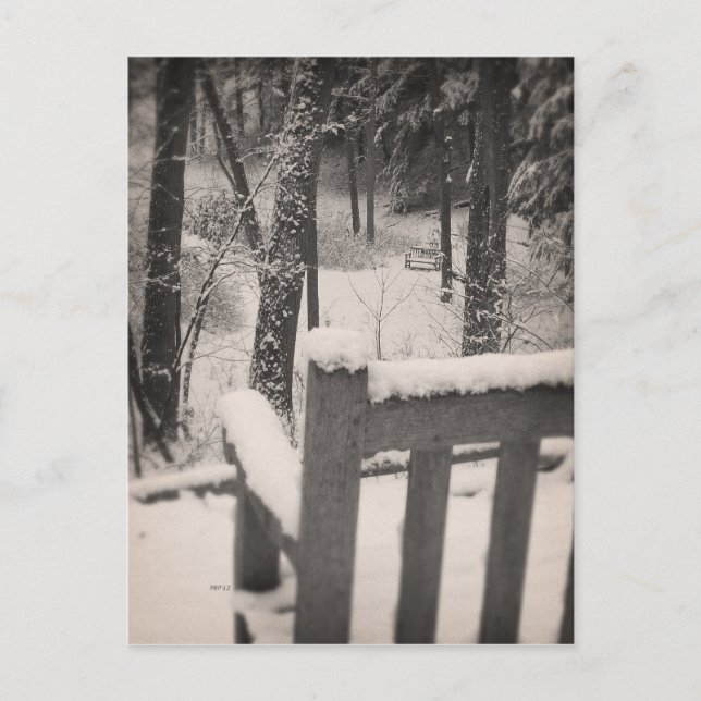 Carte Postale Banquettes couvertes de neige (Devant)
