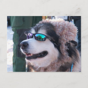 Carte postale Banshee