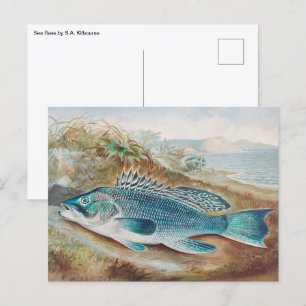 Carte Postale Bar commun par S.A. Kilbourne, Poisson vintage