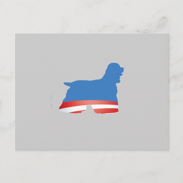 CARTE POSTALE BARACKER SPANIEL (Devant)