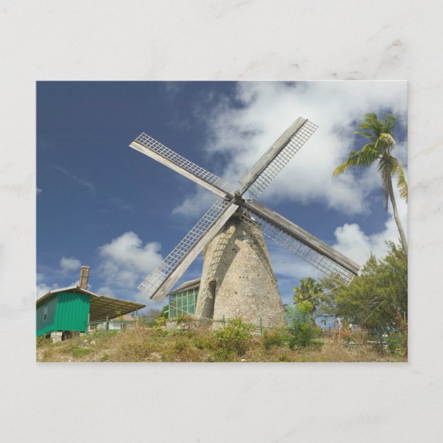 Carte Postale BARBADOS, Côte du Nord-Est, Morgan Lewis : Morgan (Devant)