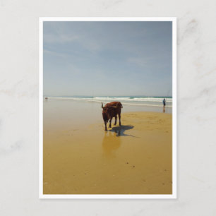 Carte Postale Barbate, Andalousie (Espagne)