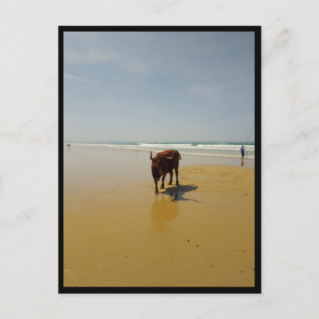 Carte Postale Barbate, Andalousie (Espagne) (Devant)