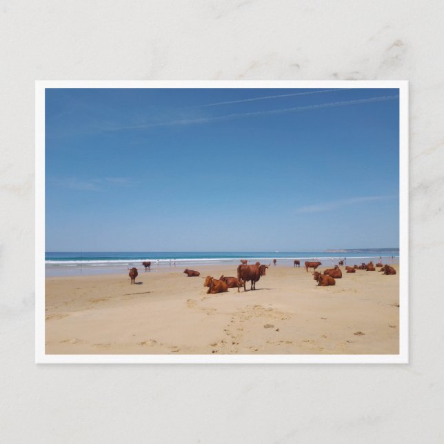 Carte Postale Barbate, Andalousie (Espagne) (Devant)