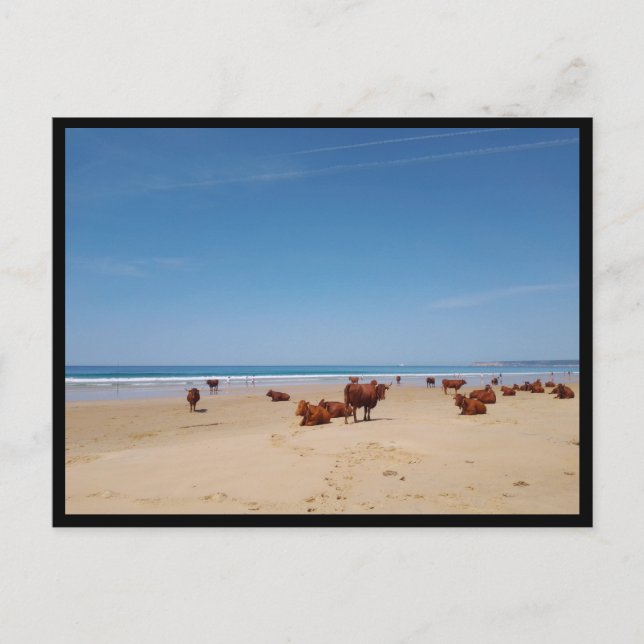 Carte Postale Barbate, Andalousie (Espagne) (Devant)