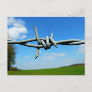 Carte postale Barbed-Wire Fence
