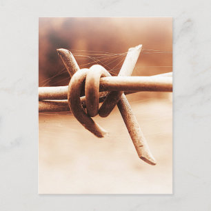 Carte Postale Barbwire et Spider Web à Sepia