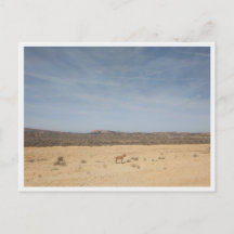 Bardenas Reales, Espagne