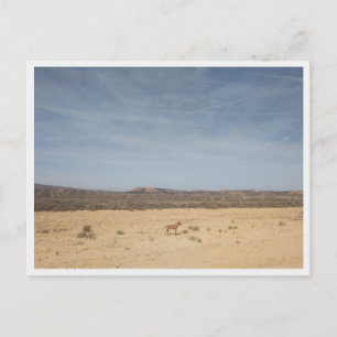 Carte Postale Bardenas Reales, Espagne