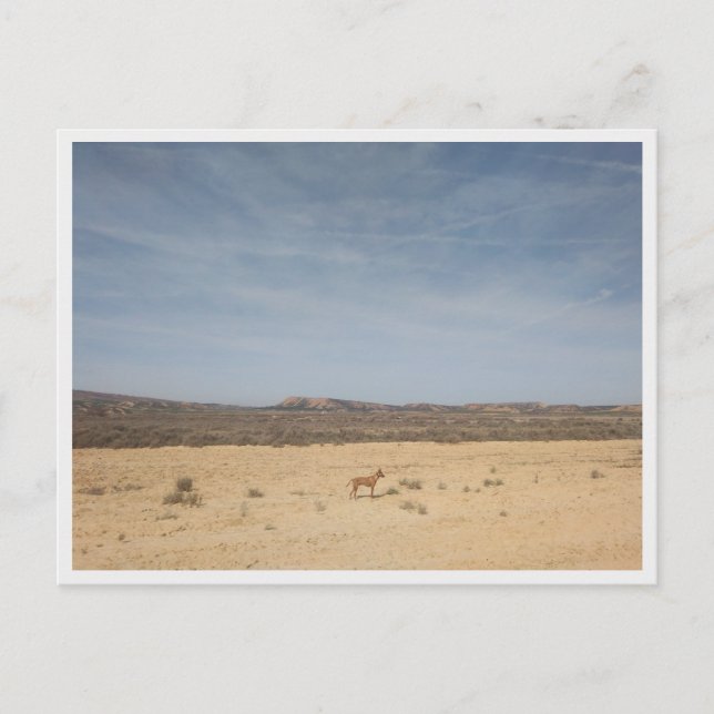 Carte Postale Bardenas Reales, Espagne (Devant)