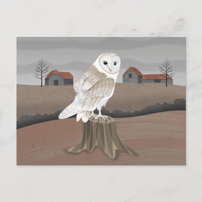 Carte Postale Barn Owl (Devant)