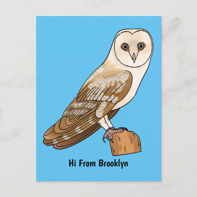 Carte Postale Barn owl bird cartoon illustration (Devant)