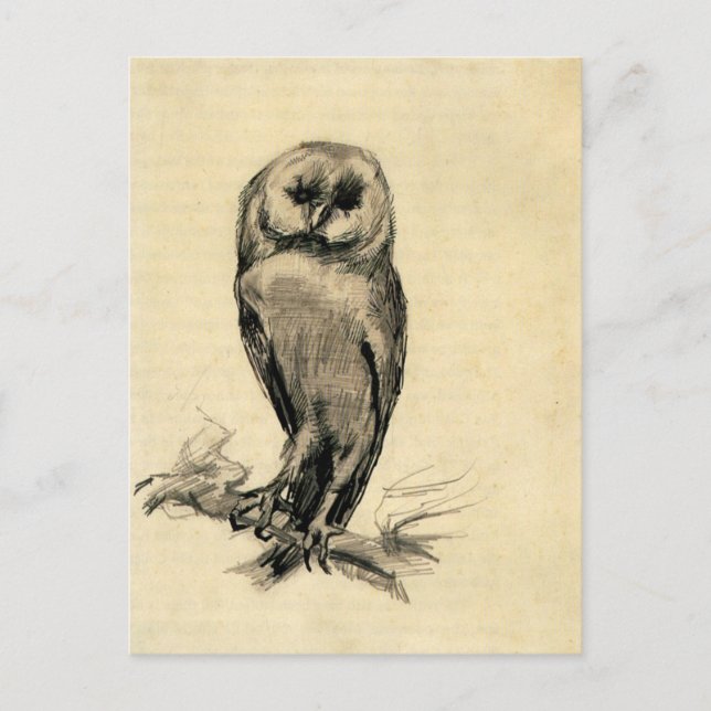 Carte Postale Barn Owl vu du front par Vincent van Gogh (Devant)