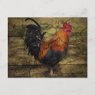 Carte Postale Barn Wood Chicken french country rooster