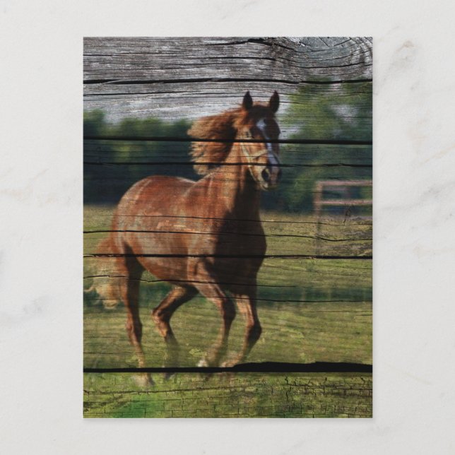 Carte Postale Barn Woodgrain (Devant)