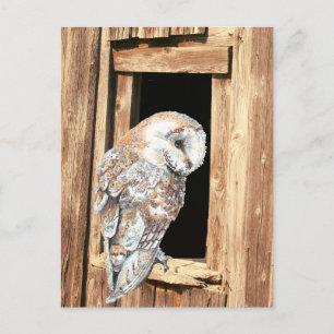 Carte Postale Barne hibou en Grange Fenêtre Animal Nature Art