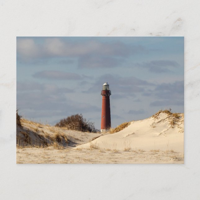 Carte Postale Barnegat Lighthouse (Devant)
