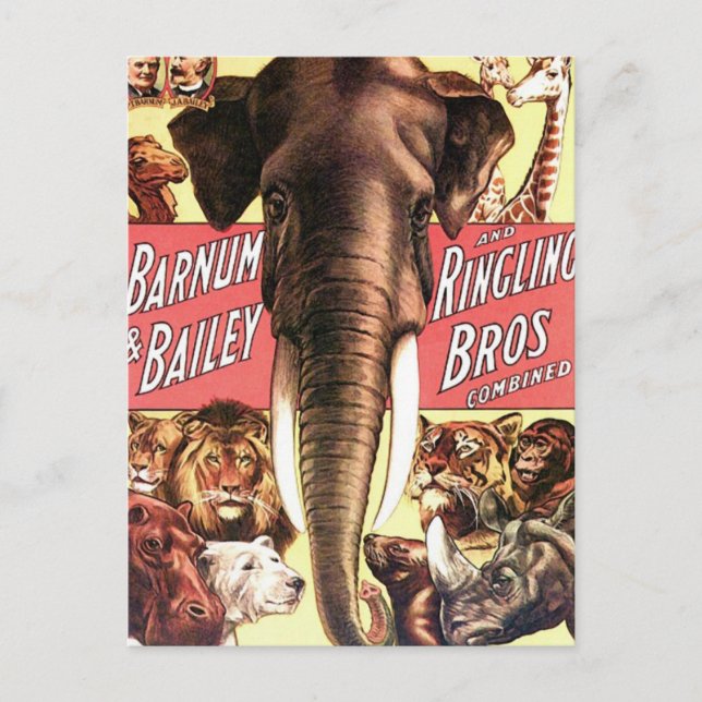 Carte Postale Barnum & Bailey et Bros à anneaux combinés - Eleph (Devant)