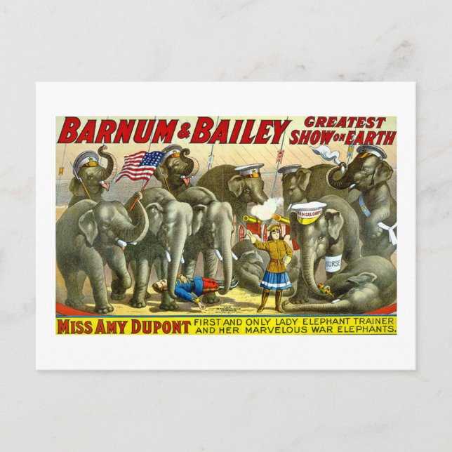 Carte Postale Barnum et Bailey - éléphants (Devant)