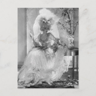 Carte Postale Baronne en robe Mariage