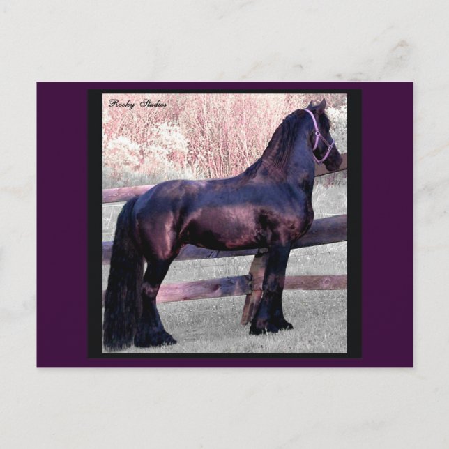 Carte Postale Baroque Horse, Personnalisable (Devant)
