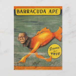 Carte Postale Barracuda Ape
