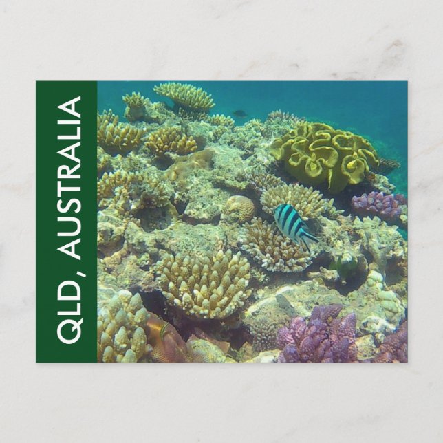 Carte Postale barrière récif queensland (Devant)