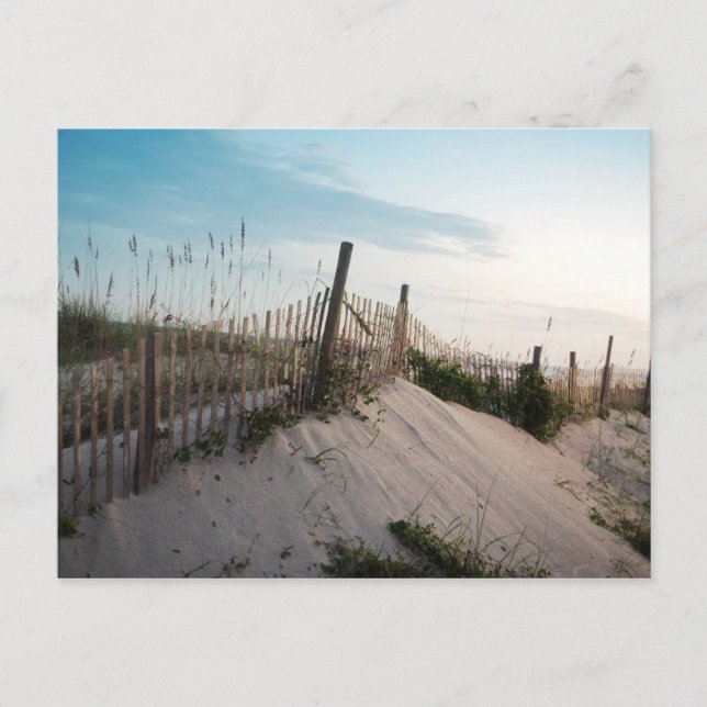 Carte Postale Barrière sur Myrtle Beach (Devant)