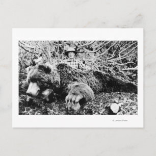 Carte Postale Barr's Bear de plus de 10 pieds de long, Alaska