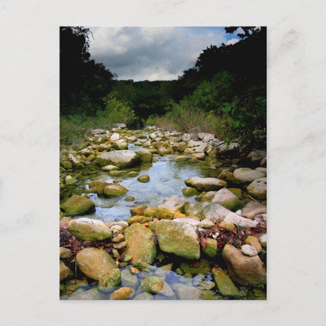 Carte Postale Barton Creek 5 - Austin Texas (Devant)