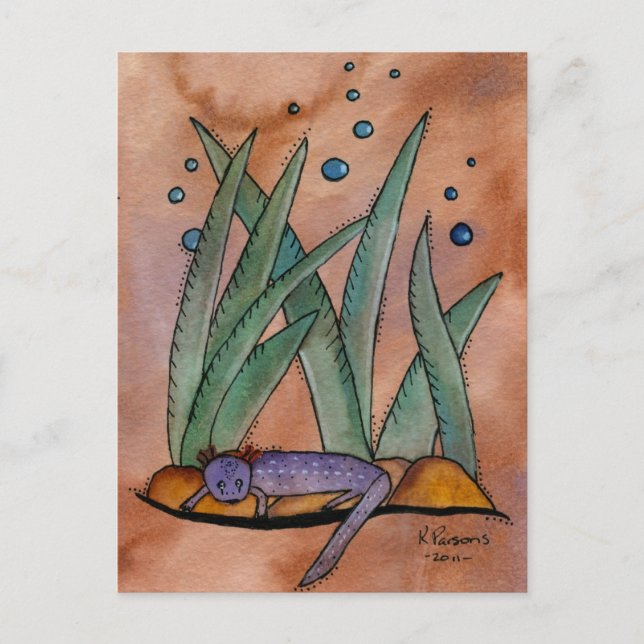 Carte Postale Barton Springs Salamander (Devant)