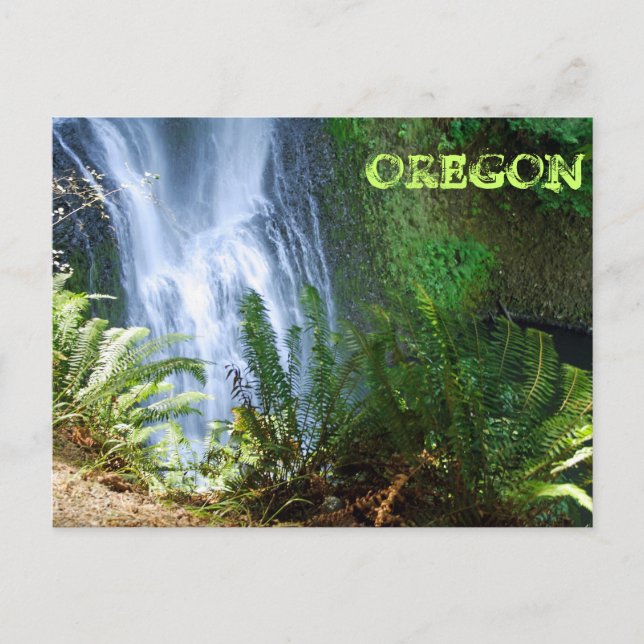 Carte Postale Bas-Sud (Devant)