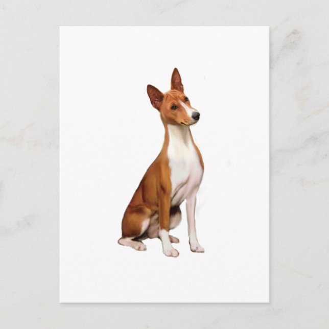 Carte Postale Basenji (C) (Devant)