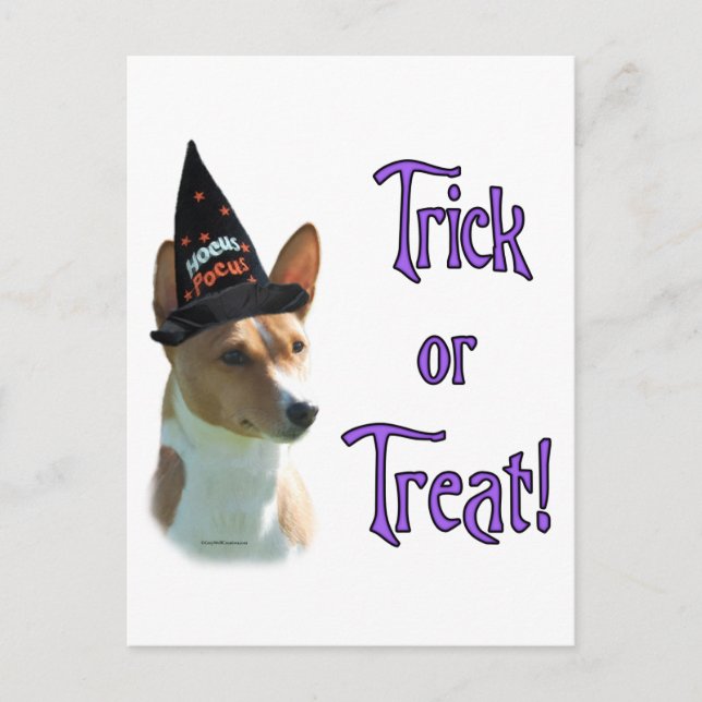 Carte Postale Basenji Trick (Devant)