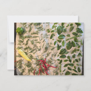 Carte Postale Basil et poivrons