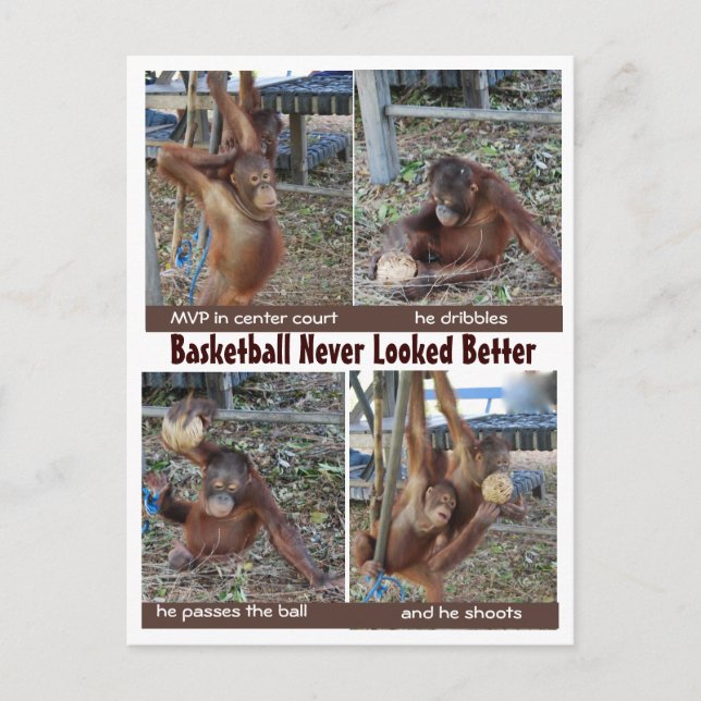 Carte Postale Basketball Heroes (Devant)