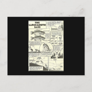 Carte Postale Bass Baits Cute