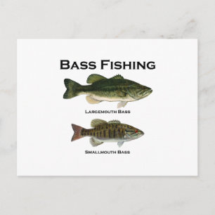 Carte Postale Bass Fishing Logo (grande bouche - petite bouche)